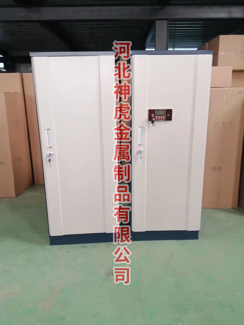 电子防磁柜